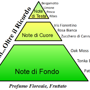 piramide olfattiva oltre il ricordo